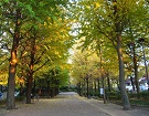 access