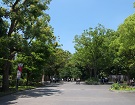 access