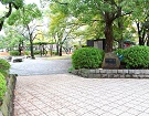 access