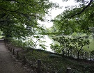 access