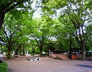 access
