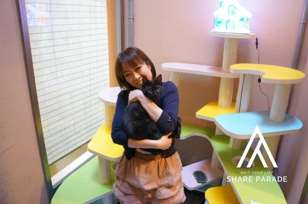 Kitties can feel at ease too ♪ A home designed for cats