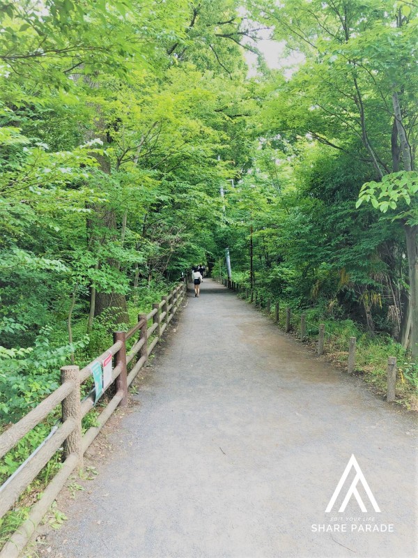 access