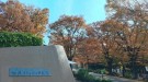 access